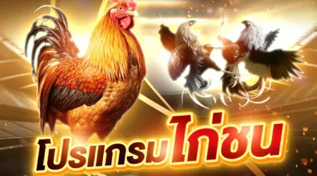 โปรแกรมไก่ชน 13 กรกฎาคม 2568